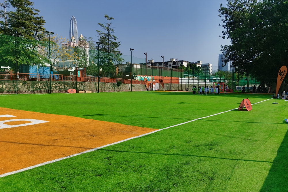 飛盤(pán)，橄欖球場(chǎng)