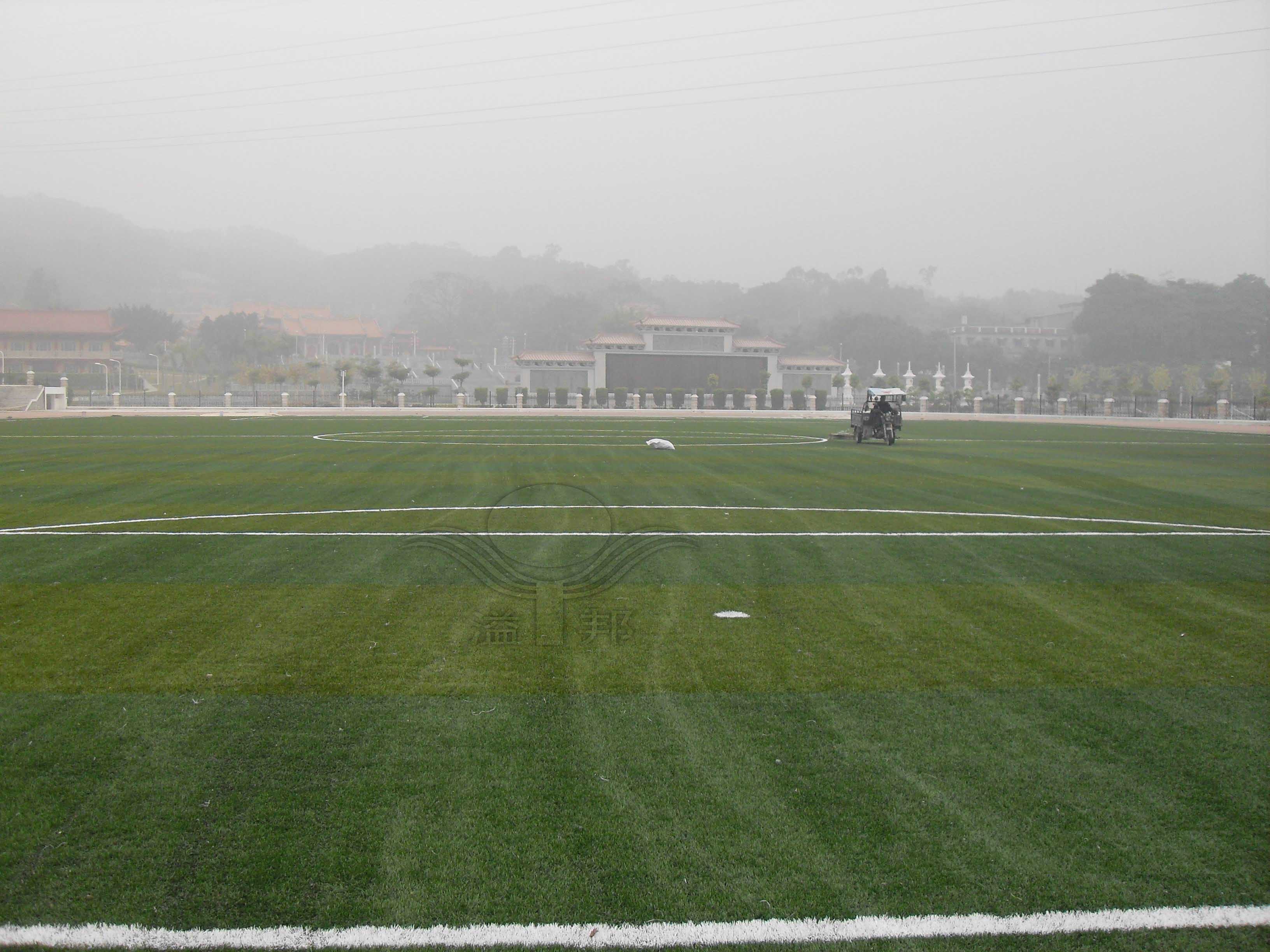 足球場(chǎng)人造草價(jià)格