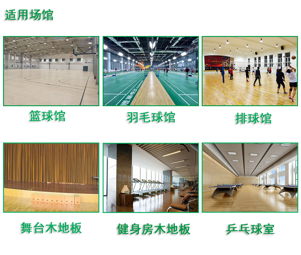 籃球館木地板價格